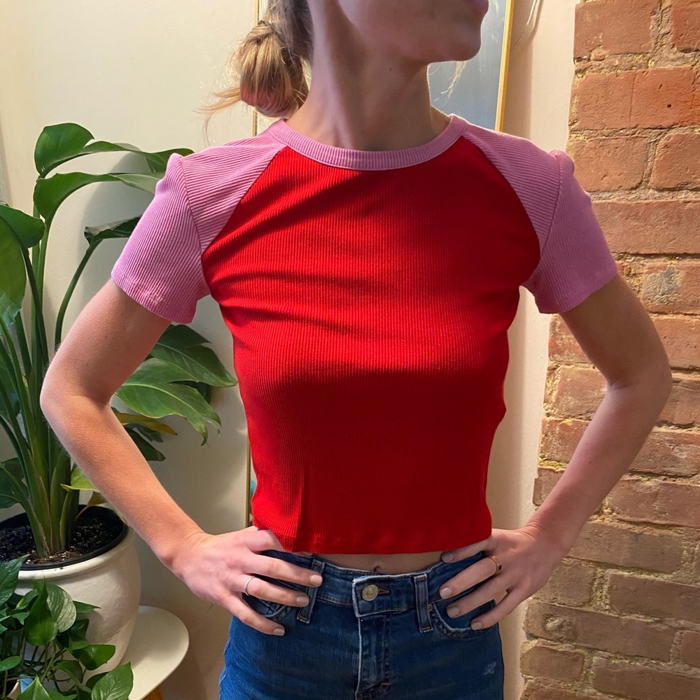 Red and pink shortsleeved top from Zara